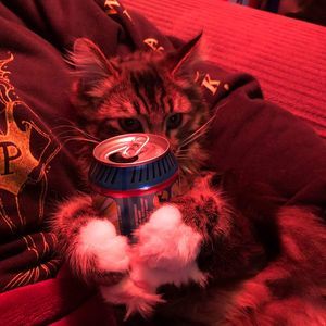 Meet your Posher, Felicia